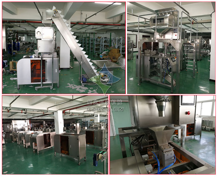 全自動(dòng)單工位顆粒定量包裝機(jī)