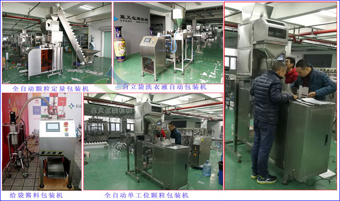 全自動(dòng)顆粒定量包裝機(jī),自立袋洗衣液自動(dòng)包裝機(jī),給袋醬料包裝機(jī),全自動(dòng)單工位顆粒包裝機(jī)