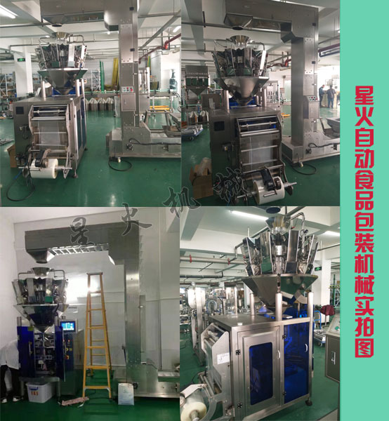 給袋式瓜子包裝機(jī)械設(shè)備-全自動食品包裝機(jī)械實拍圖