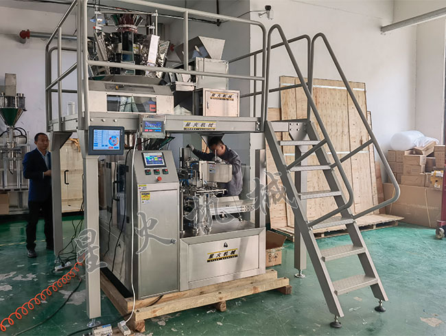 鄭州葡萄干給袋稱重定量包裝機械設備